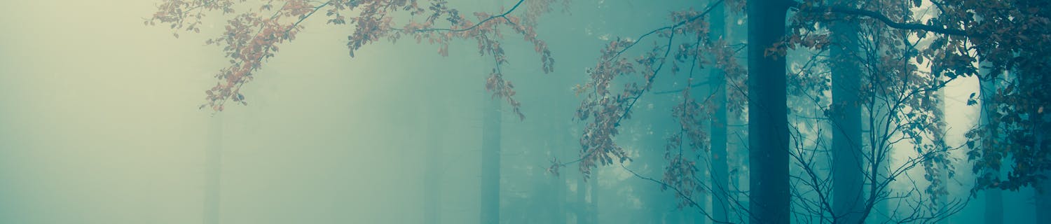 metsä oranssi turkoosi